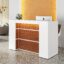 Modern Engineered Wood Reception Counter Desk with Privacy Panel and Internal Storage