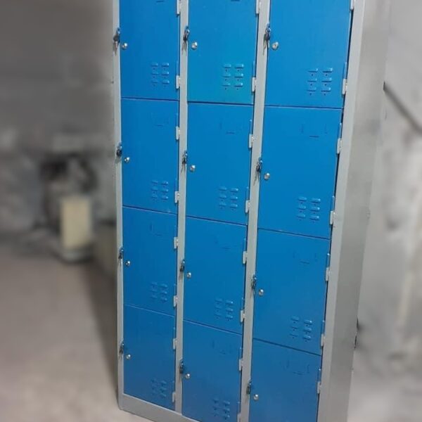 Industrial 12-door metal staff lockers with electrostatic coating and secure locks for gyms and factories.